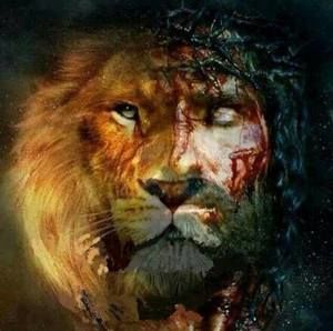 Meet your Posher, Jaymez